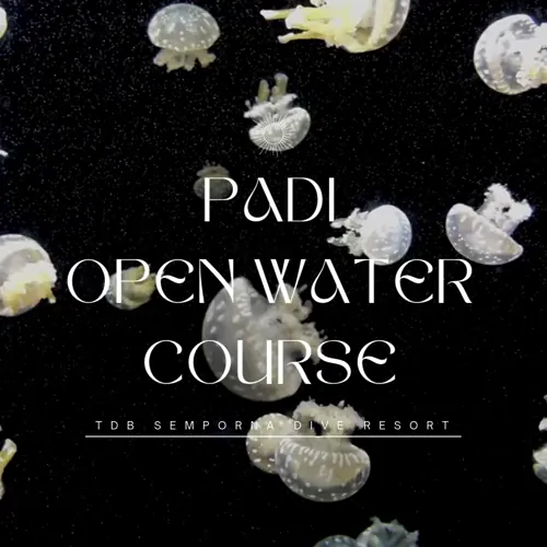 PADI Open Water Diver Course Semporna