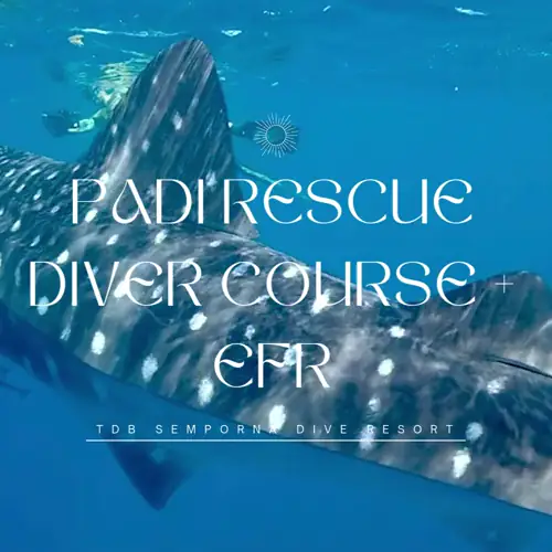 PADI Rescue Diver Course + EFR Semporna
