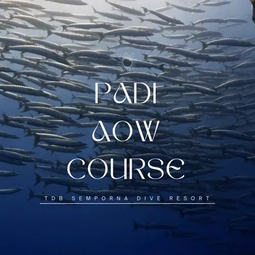 padi aow course semporna