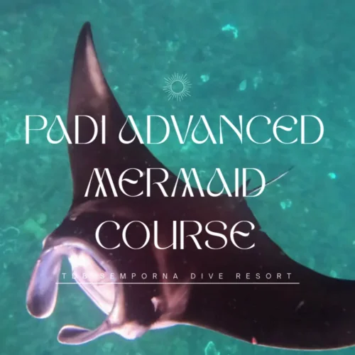 PADI Advanced Mermaid Course