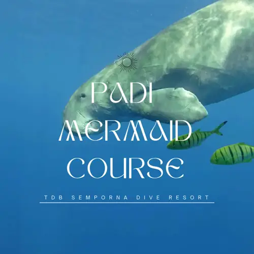 PADI Mermaid Course Semporna