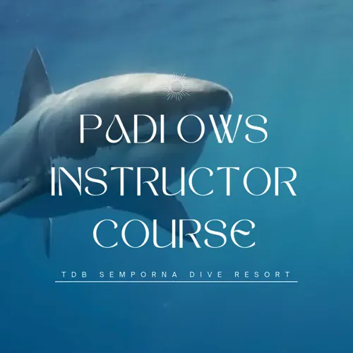 PADI Open Water Scuba Instructor Course Semporna