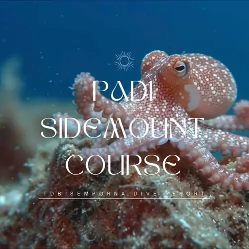 PADI Sidemount Course Semporna