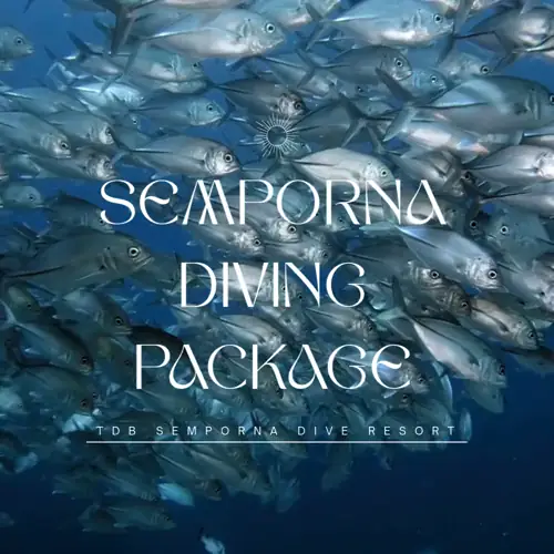 Semporna Diving Package