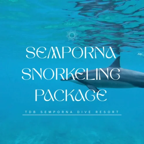 semporna snorkeling package